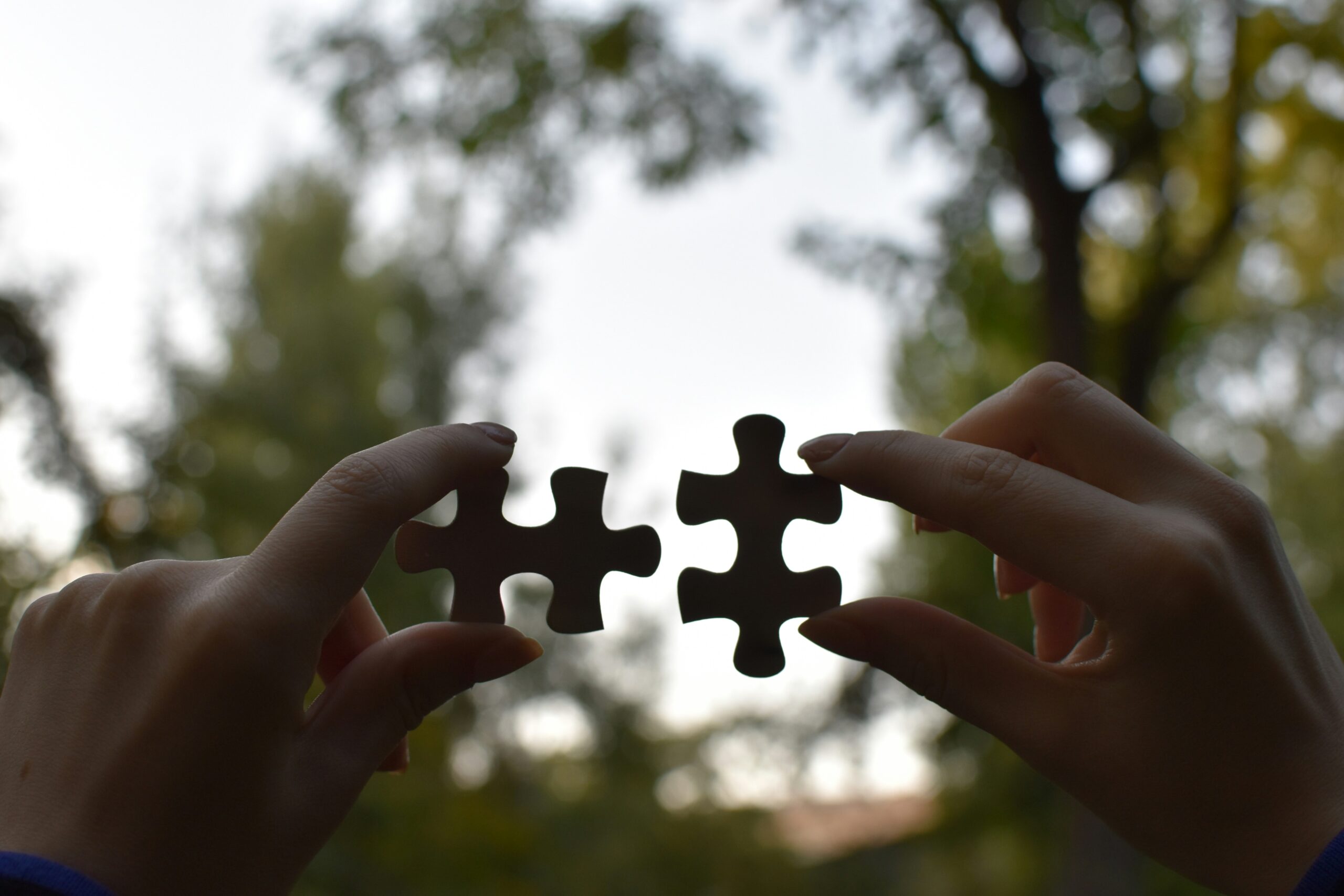 Puzzle pieces, photo credit Vardan Papikyan (unsplash)